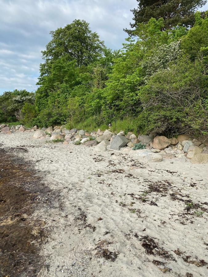 Feriehus Med Havudsigt Spodsbjerg Dış mekan fotoğraf
